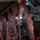 Illustration for article titled The California wine industry is worried about “em/emsmoke taint”em/em from wildfiresem/em